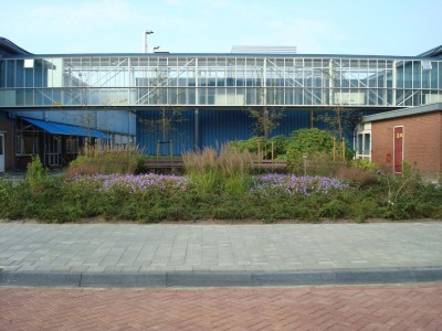 Philips, Drachten